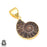 Ammonite 24K Gold Plated Pendant 3mm Snake Chain GPH667