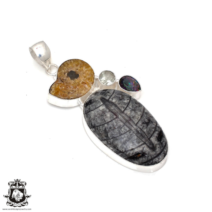 3.5 Inch Orthoceras Ammonite Fossil Pendant & Chain P7800