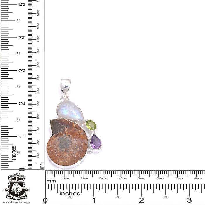 Ammonite Pendant & Chain  P7876