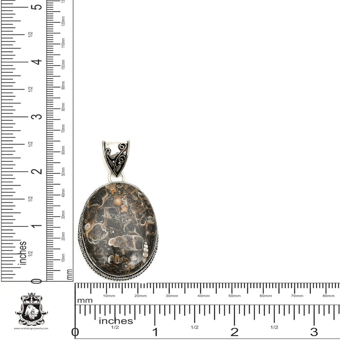 Turritella Fossil Pendant & Chain  V1590
