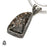 Turritella Fossil Pendant & Chain  V1592
