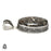 Turritella Fossil Pendant & Chain  V1597