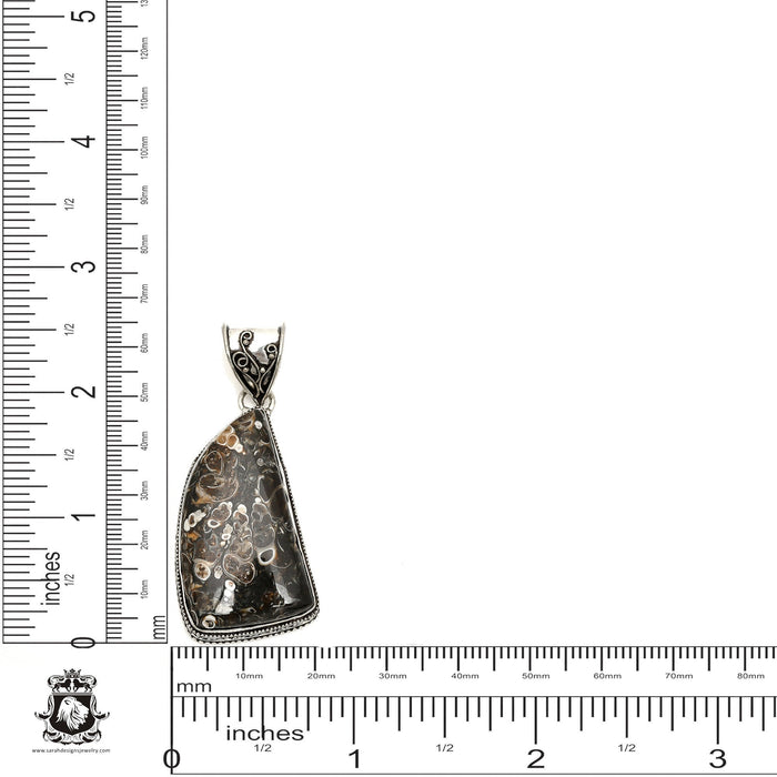 Turritella Fossil Pendant & Chain  V1592