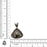 Turritella Fossil Pendant & Chain  V1596