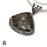 Turritella Fossil Pendant & Chain  V1596