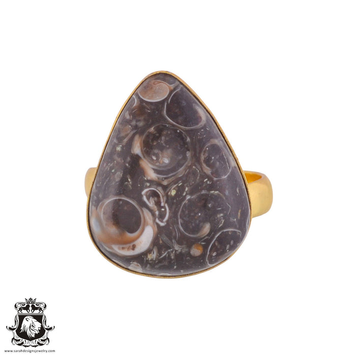 Size 9.5 - Size 11 Ring Turritella Agate Fossil 24K Gold Plated Ring GPR1026