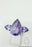 Size 6 Marquise Amethyst Sterling Silver Ring r782