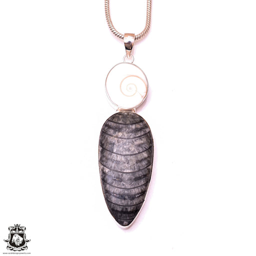 Orthoceras Fossil Shiva Shell Pendant & 3MM Italian Chain P10039