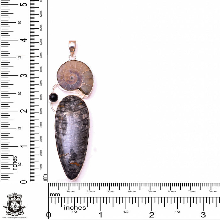 Orthoceras Fossil Ammonite Pendant & 3MM Italian Chain P9911