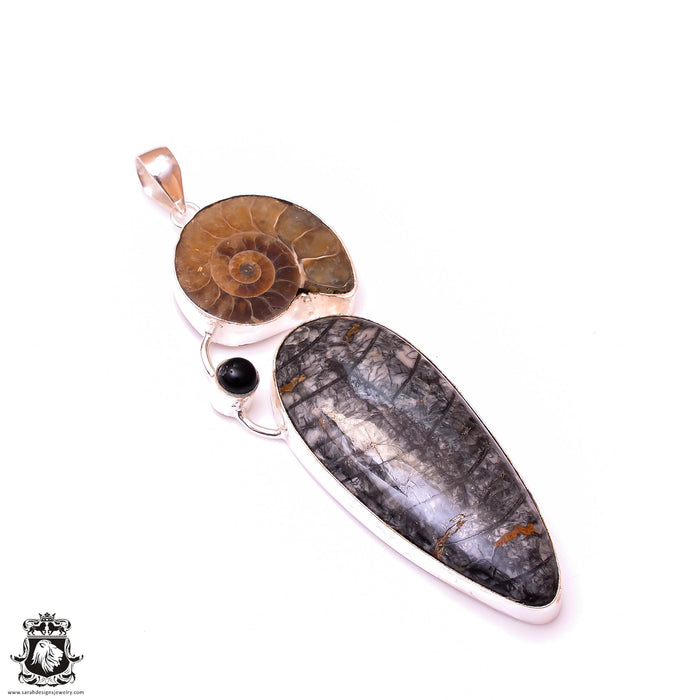 Orthoceras Fossil Ammonite Pendant & 3MM Italian Chain P9911