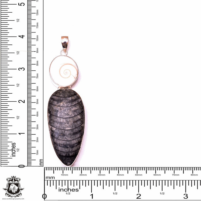 Orthoceras Fossil Shiva Shell Pendant & 3MM Italian Chain P10039