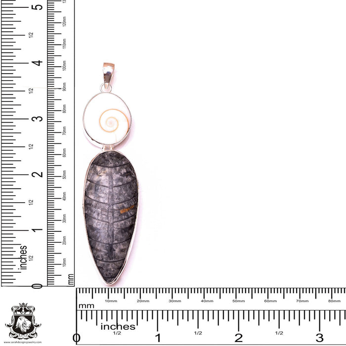 Orthoceras Fossil Shiva Shell Pendant & 3MM Italian Chain P10042