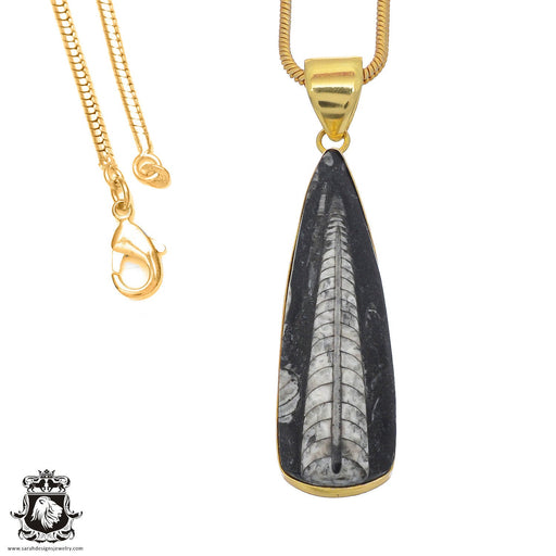 Orthoceras Fossil 24K Gold Plated Pendant  GPH804
