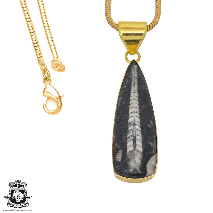 Orthoceras Fossil 24K Gold Plated Pendant 3mm Snake Chain GPH812