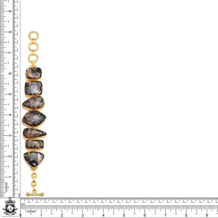 Turritella Jasper Fossil Gold Plated Bracelet GB164