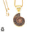 Ammonite 24K Gold Plated Pendant  GPH670