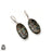 2 Inch Pyrite Seraphinite 925 SOLID Sterling Silver Leverback Earrings E176
