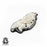 Carnivorous Venus Flytrap  Carving Silver Pendant & Chain N324