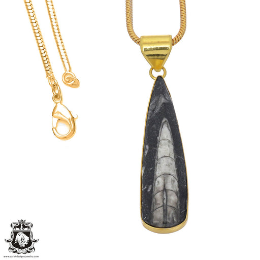 Orthoceras Fossil 24K Gold Plated Pendant  GPH811