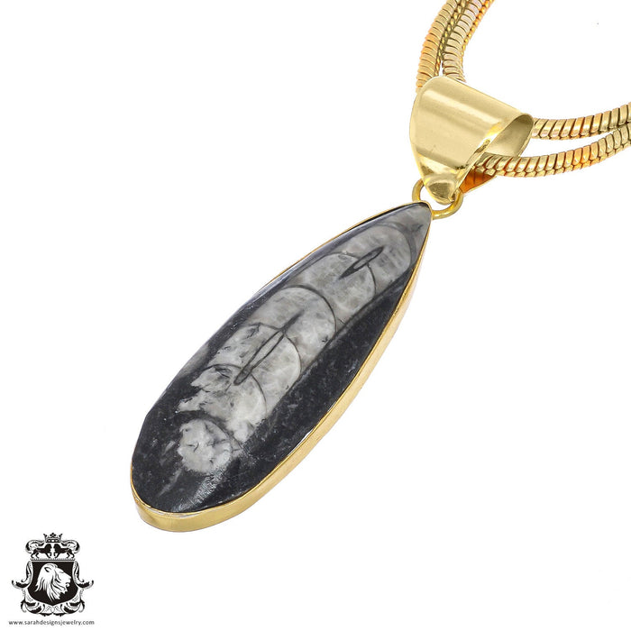 Orthoceras Fossil 24K Gold Plated Pendant  GPH805