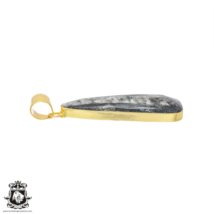 Orthoceras Fossil 24K Gold Plated Pendant  GPH806