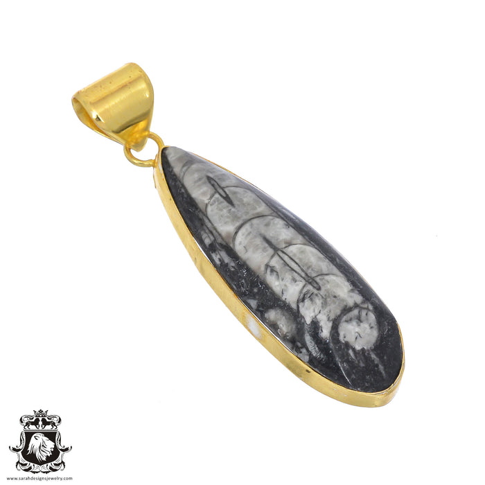 Orthoceras Fossil 24K Gold Plated Pendant  GPH805