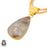 Crazy Lace Agate 24K Gold Plated Pendant  GPH1257