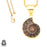 Ammonite 24K Gold Plated Pendant  GPH679