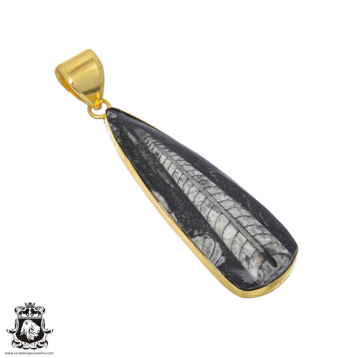 Orthoceras Fossil 24K Gold Plated Pendant  GPH804