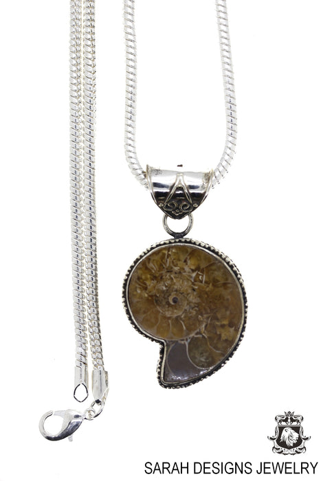 Ammonite Pendant & Chain   P1700