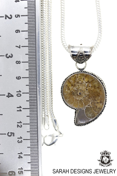 Ammonite Pendant & Chain   P1700
