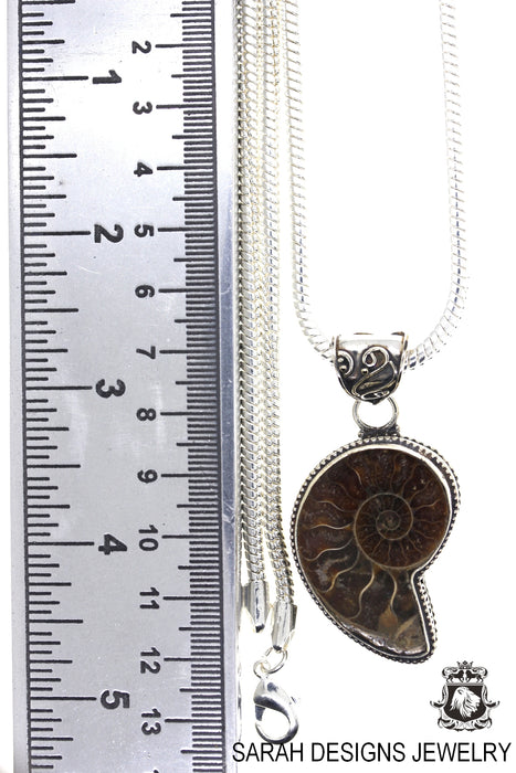 Ammonite Pendant 4mm Snake Chain P1703