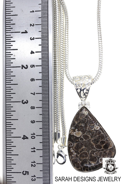 Turritella Agate Pendant & Chain  P4380
