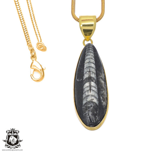 Orthoceras Fossil 24K Gold Plated Pendant 3mm Snake Chain GPH810
