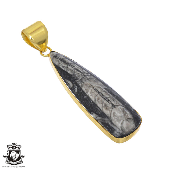 Orthoceras Fossil 24K Gold Plated Pendant  GPH807