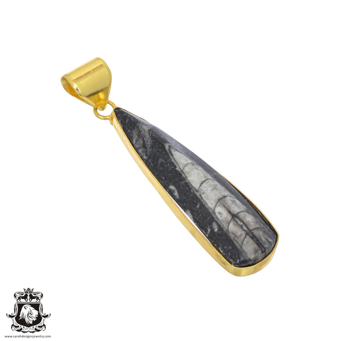 Orthoceras Fossil 24K Gold Plated Pendant  GPH811