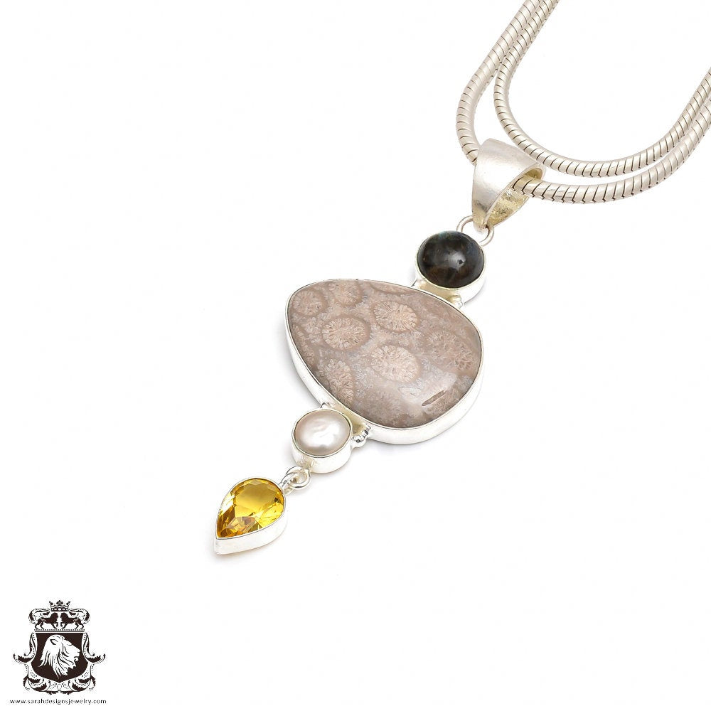 FOSSILIZED CORAL