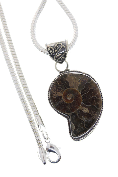 Ammonite Pendant & Chain   P1698