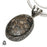 Turritella Fossil Pendant & Chain  V1585