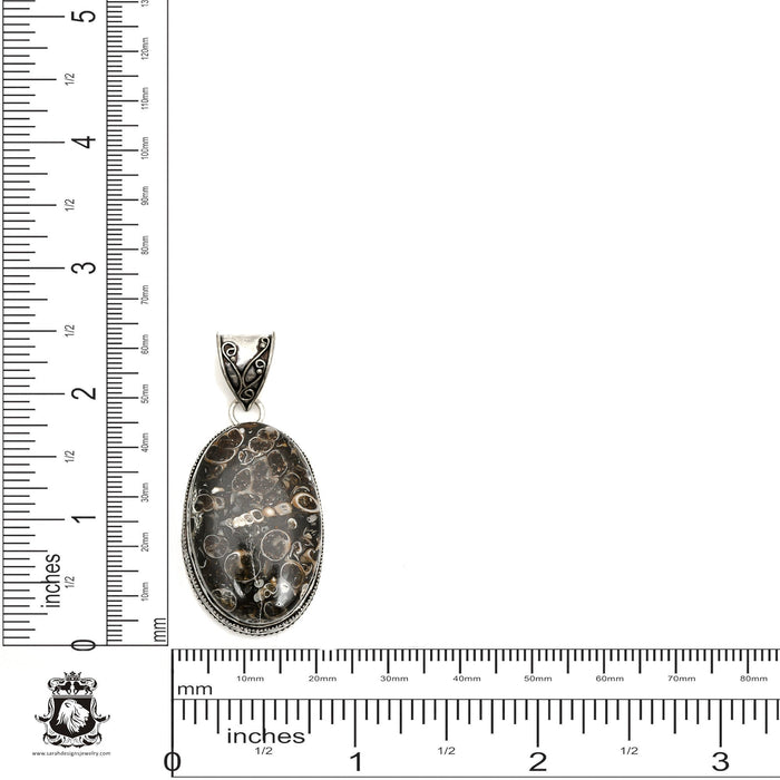 Turritella Fossil Pendant & Chain  V1597