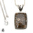 Turritella Fossil Pendant & Chain  V1587