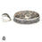 Turritella Fossil Pendant & Chain  V1590