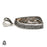 Turritella Fossil Pendant 4mm Snake Chain V1592
