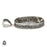 Turritella Fossil Pendant 4mm Snake Chain V1593