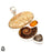 Bali Fossilized Coral Ammonite Pendant & Chain P6894