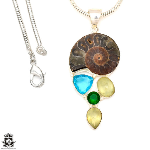 Ammonite  Prehnite Pendant & Chain  P7127