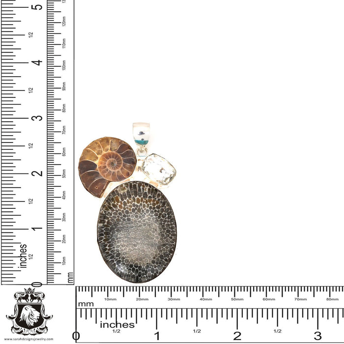 Stingray Coral Fossil Ammonite Pendant & Chain P7247