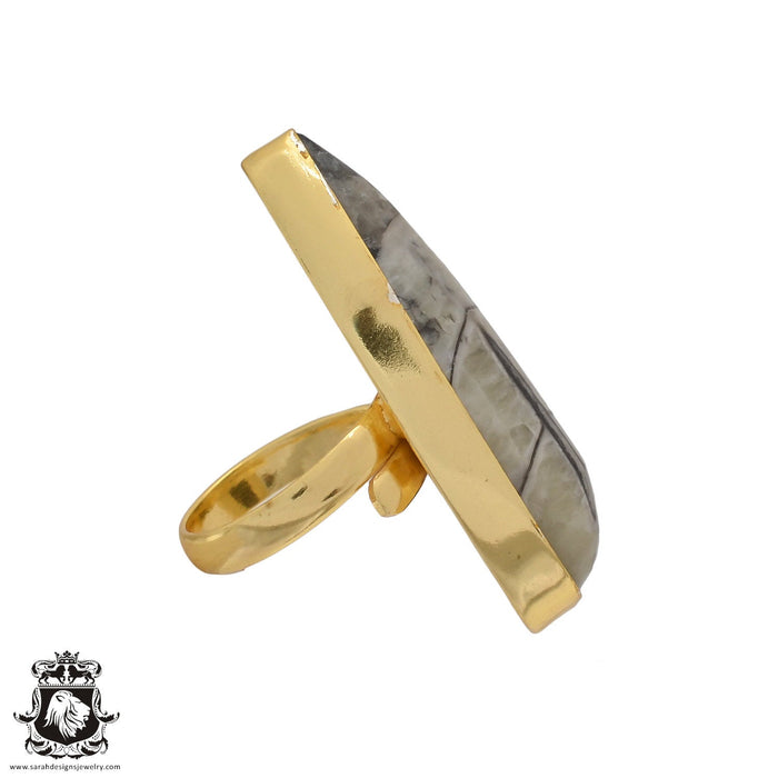 Size 6.5 - Size 8 Ring Orthoceras Fossil 24K Gold Plated Ring GPR461