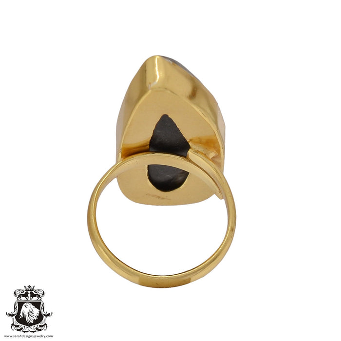 Size 6.5 - Size 8 Ring Orthoceras Fossil 24K Gold Plated Ring GPR461
