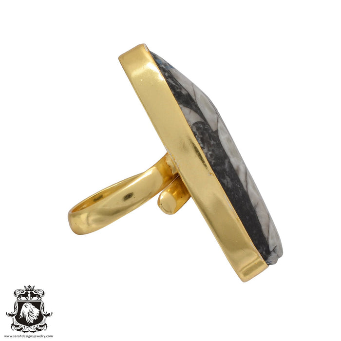 Size 6.5 - Size 8 Ring Orthoceras Fossil 24K Gold Plated Ring GPR464